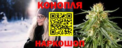 прущие крисы Гусев