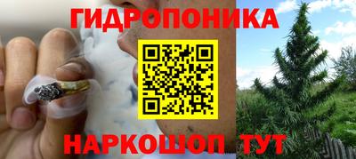 прущая мука Гусь-Хрустальный